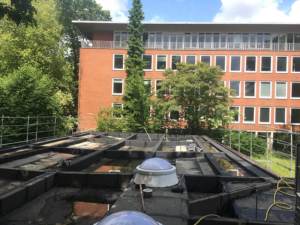 Kindertagesstätte Hamburg