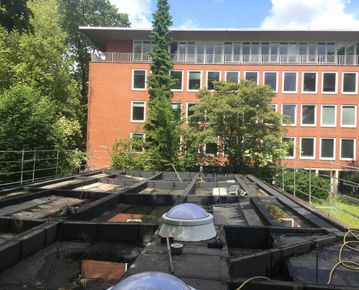 Kindertagesstätte Hamburg